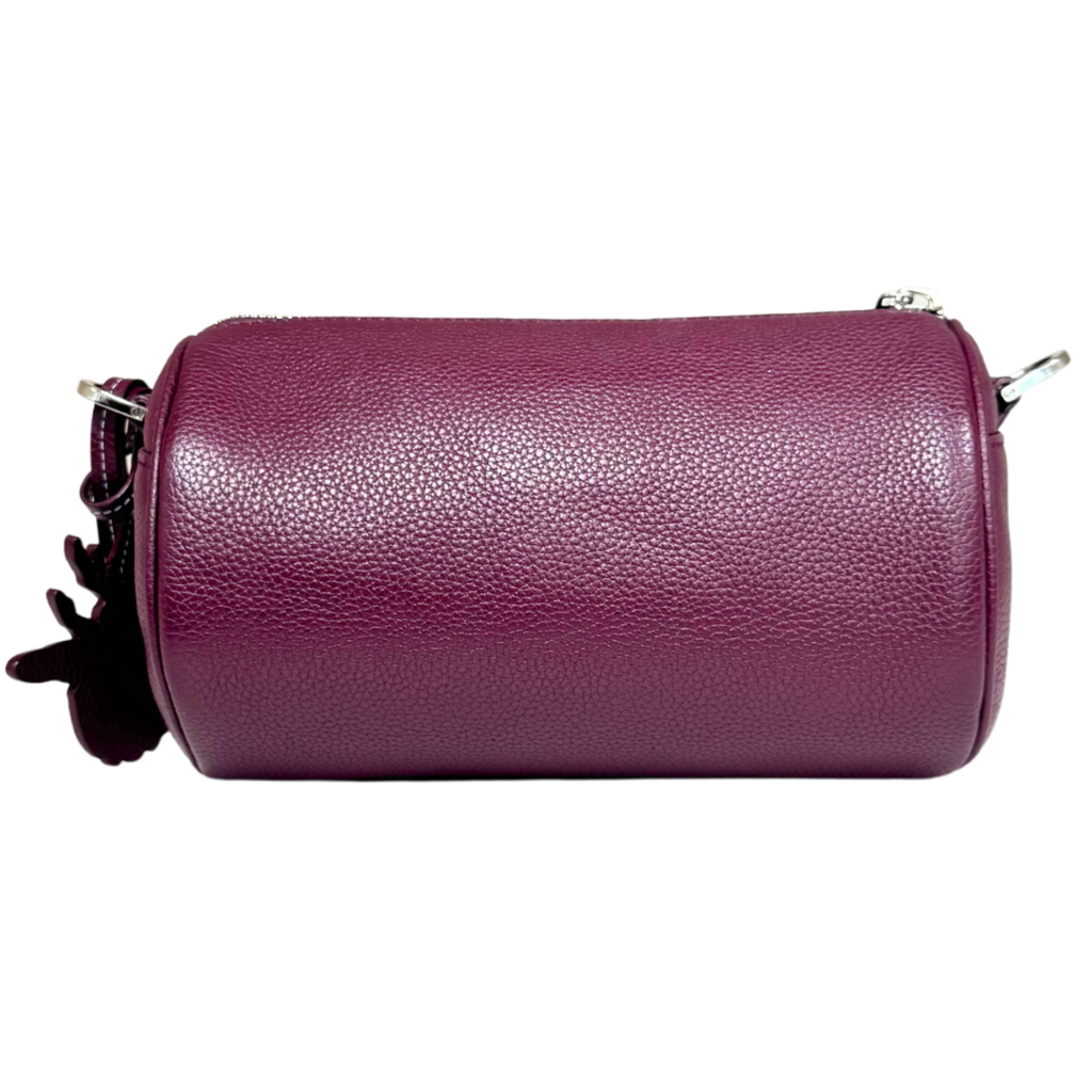 Dior Maroon Atelier Roller Bag