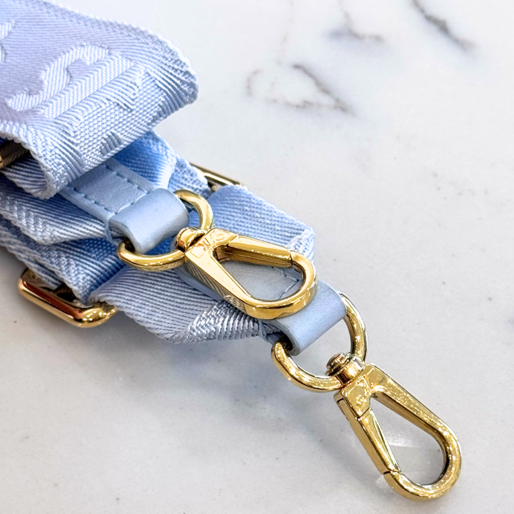 Louis Vuitton Monogram Baby Blue Over the Moon