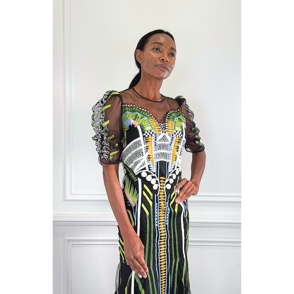 Temperley London Embroidered Organza Dress, 8