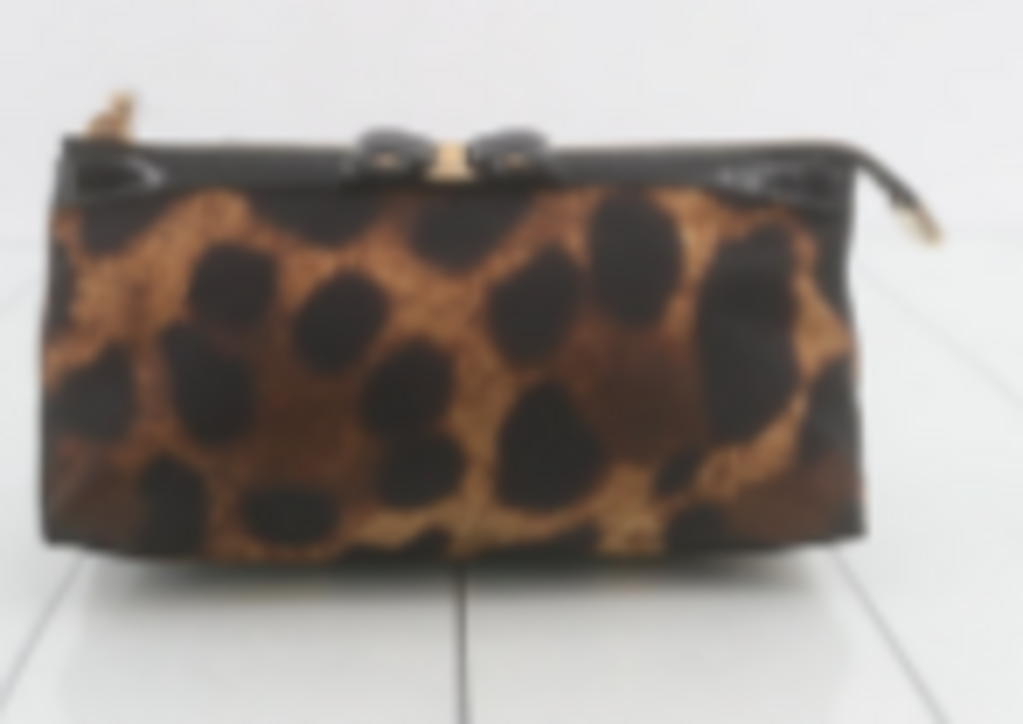 Leopard Print Pouch