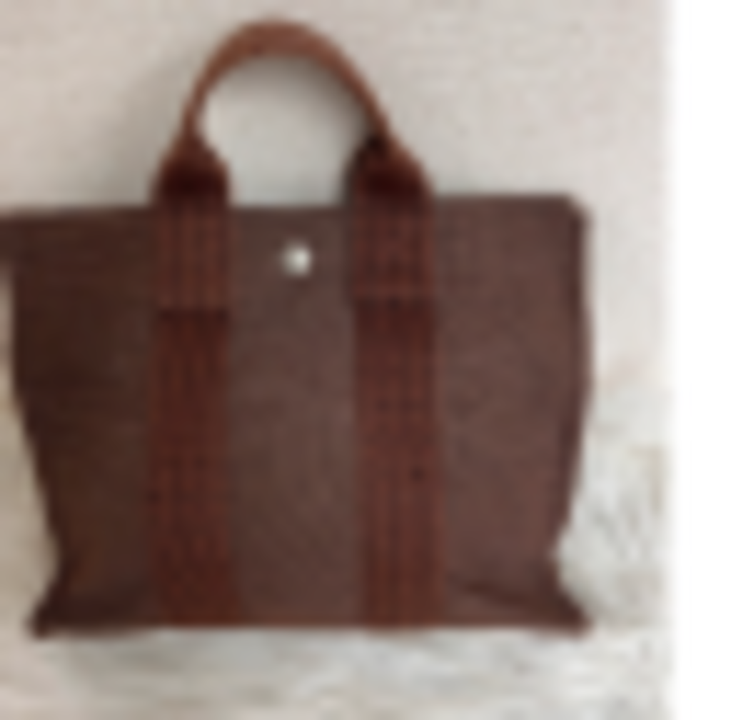 Brown Canvas Herline Tote