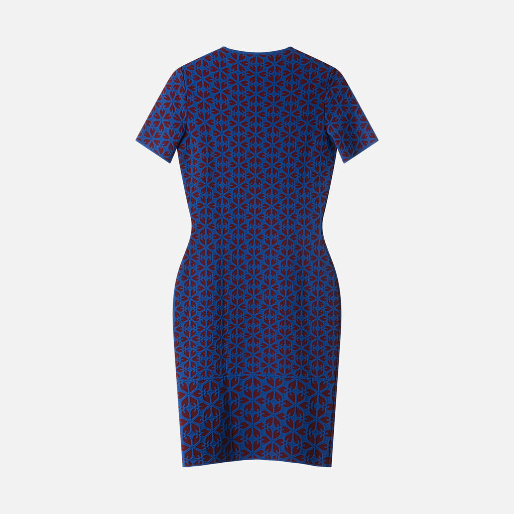 Alexander McQueen Blue & Burgundy Viscose & Poly Dress