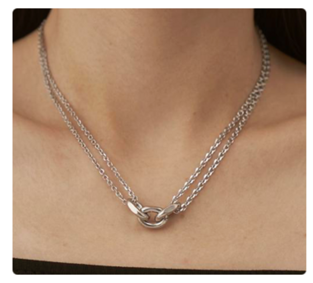 Silver Double Layer Snake Chain Necklace WG