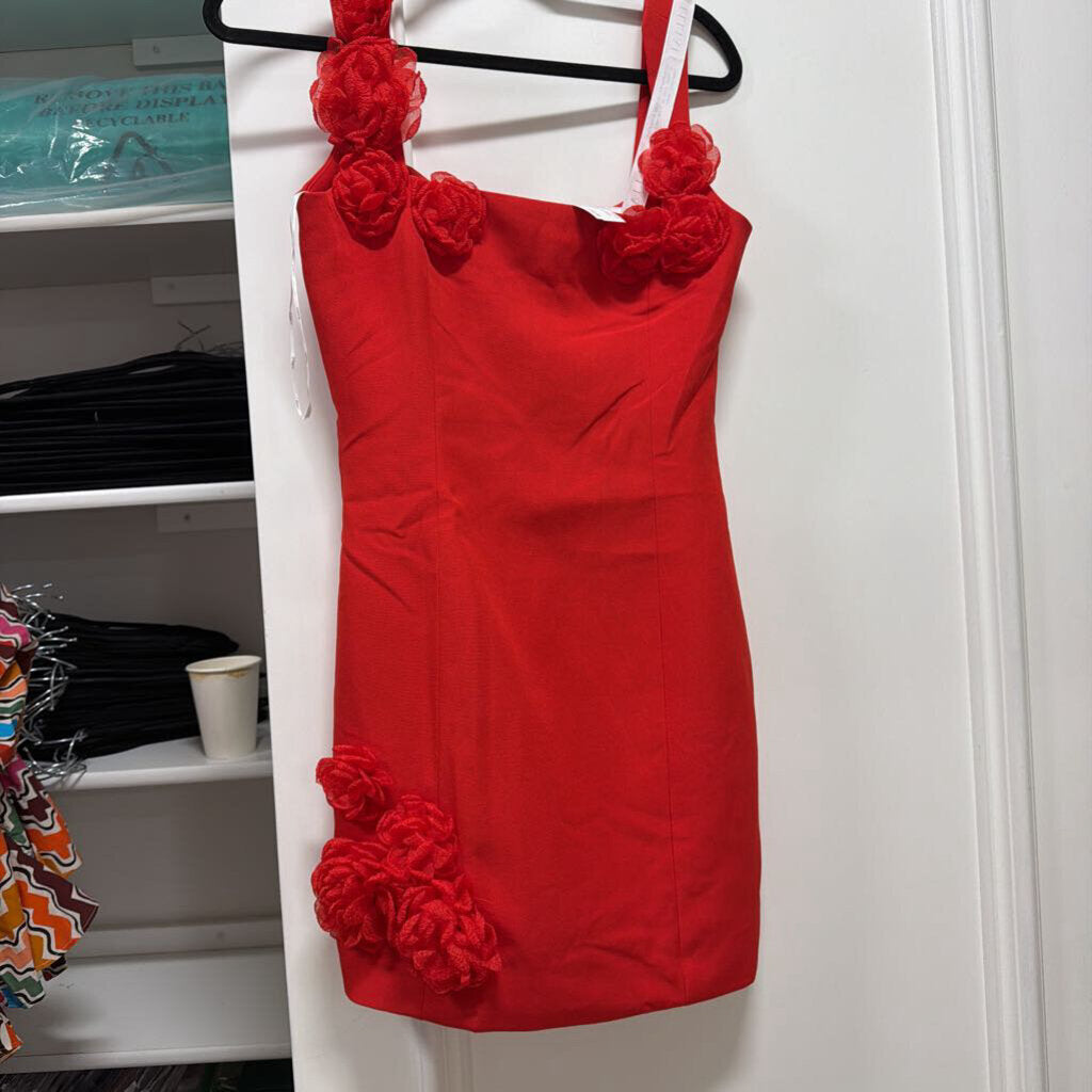 Red Poly Rose Applique Mini Dress (NWT)