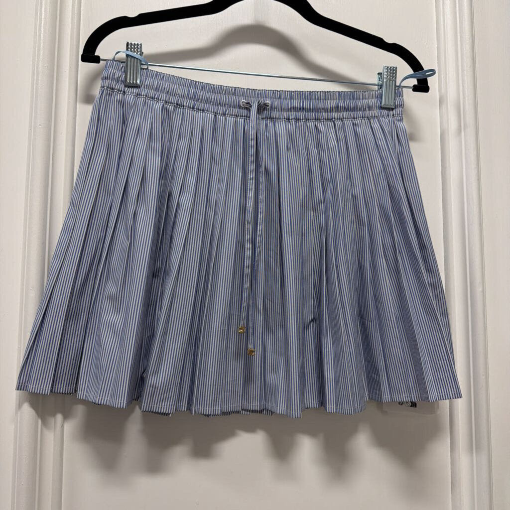Blue/White Cotton Pinstripe Pleated Mini Skirt