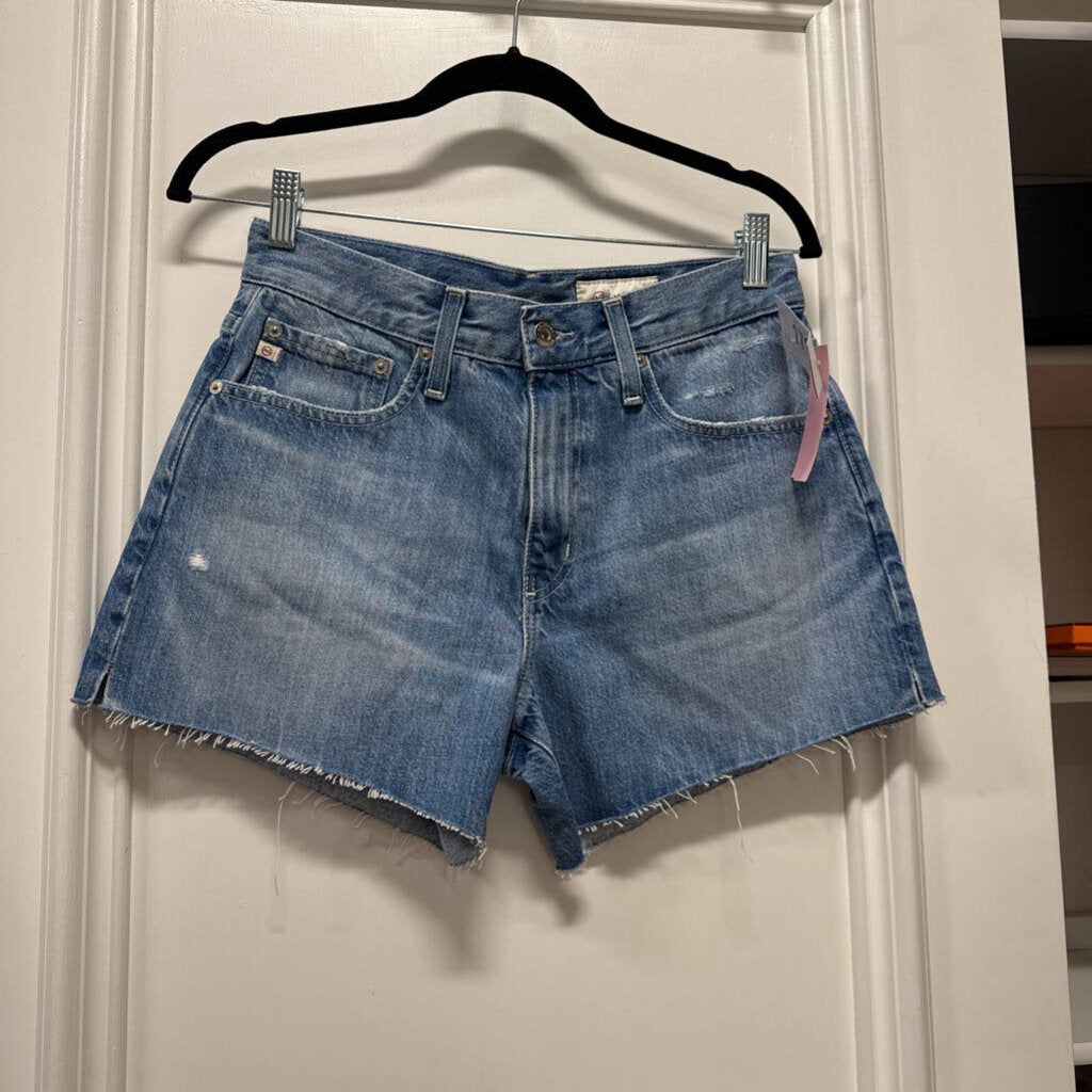 Blue Denim Shorts (NWT 178)