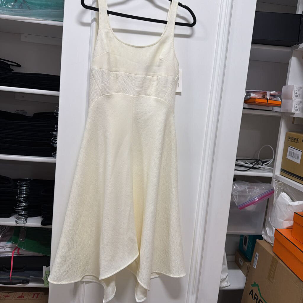 White Poly Busiter Dress (NWT 550)