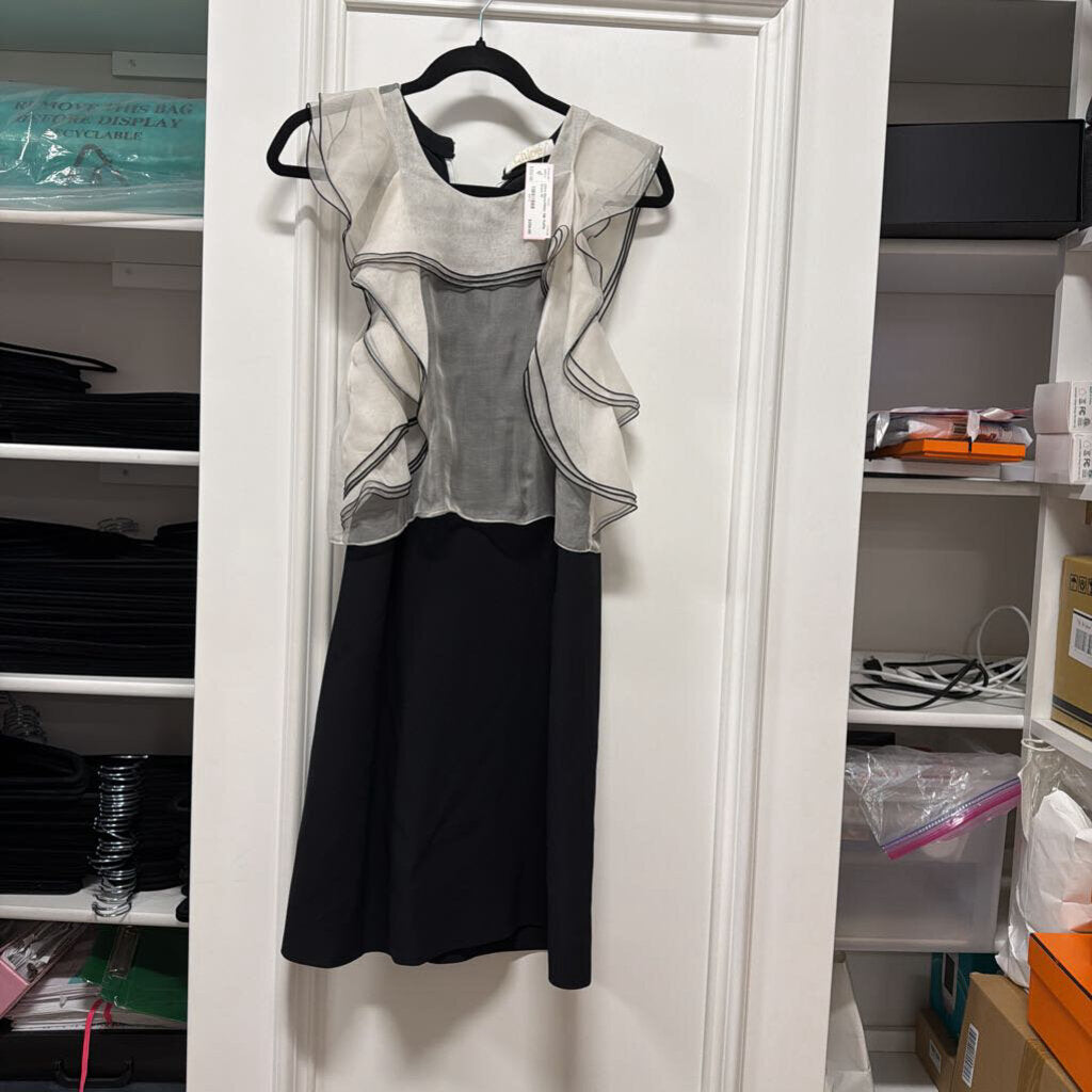Black/White Silk Ruffle Dress