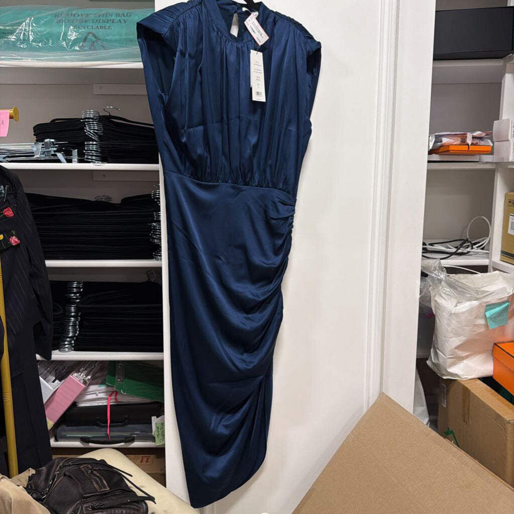 Navy Silk Gathered Dress (NWT 650)