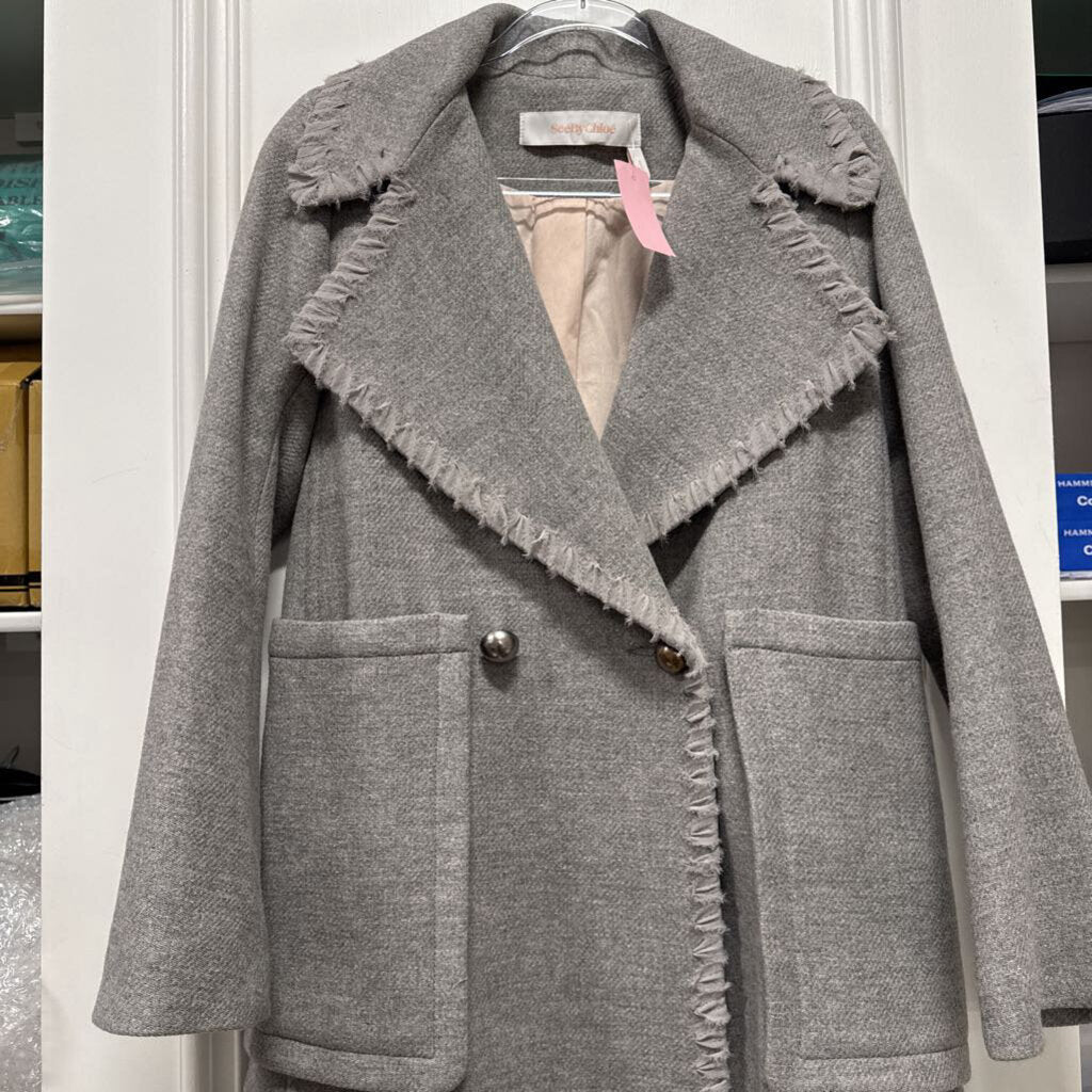 Grey Double Breasted Wool Coat (895 retail)