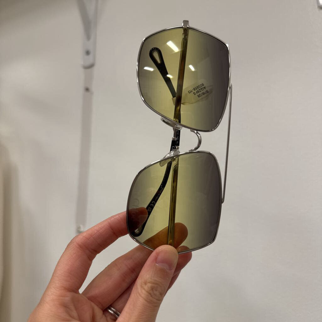 Silver Frame Gradient Lens Sunnies w/ Case