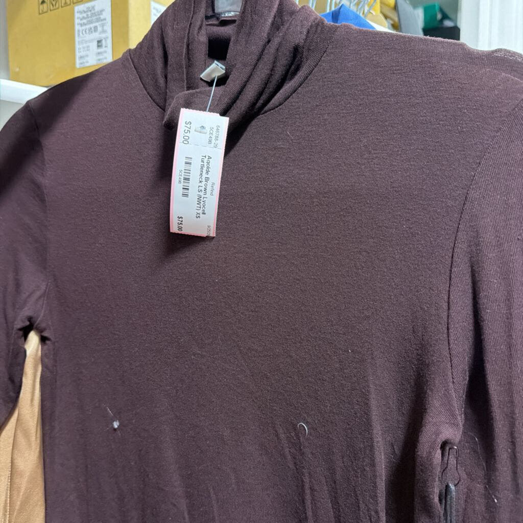 Brown Lyocell Turtleneck LS (NWT)
