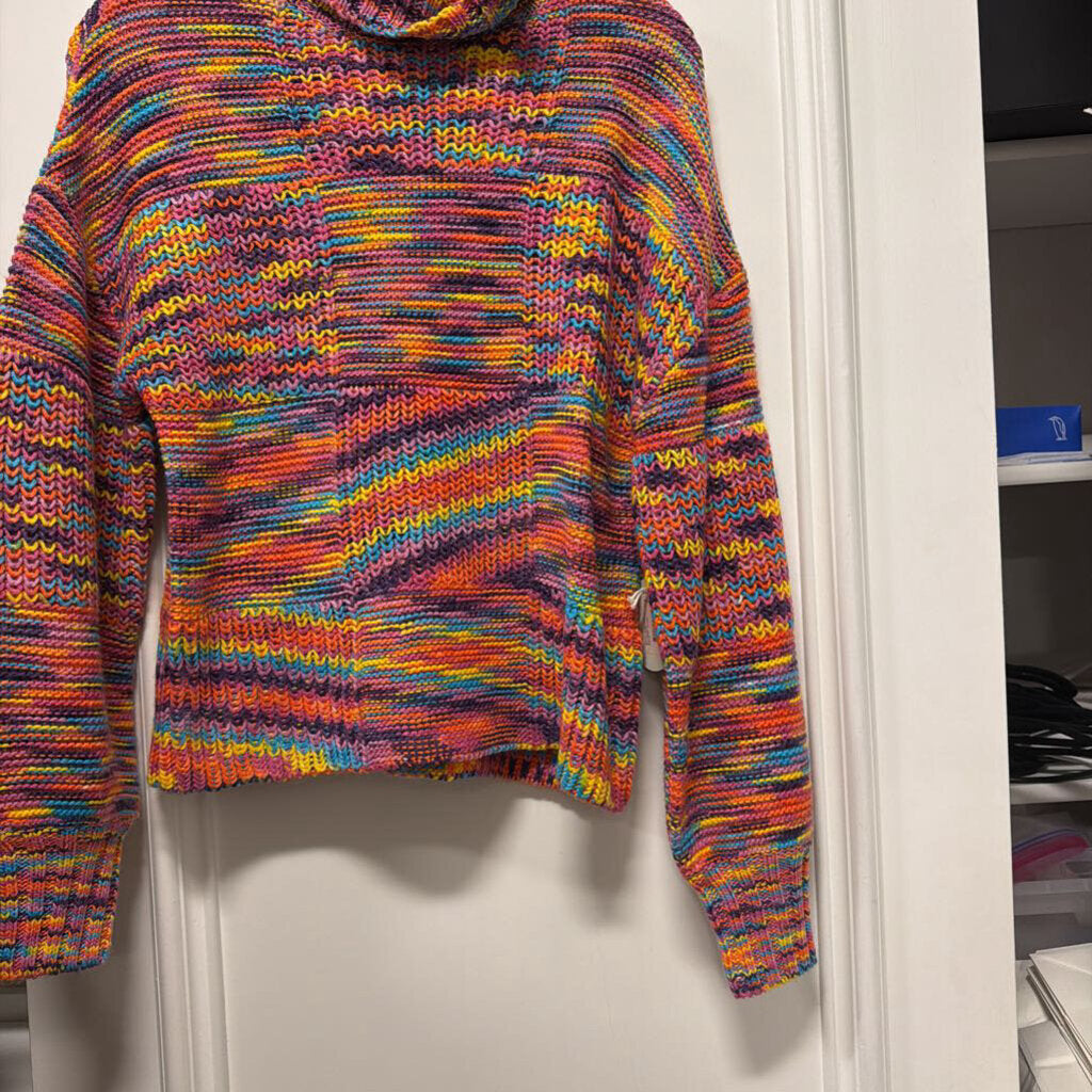 Multicolor Polyester Turtleneck Sweater (NWT 295)
