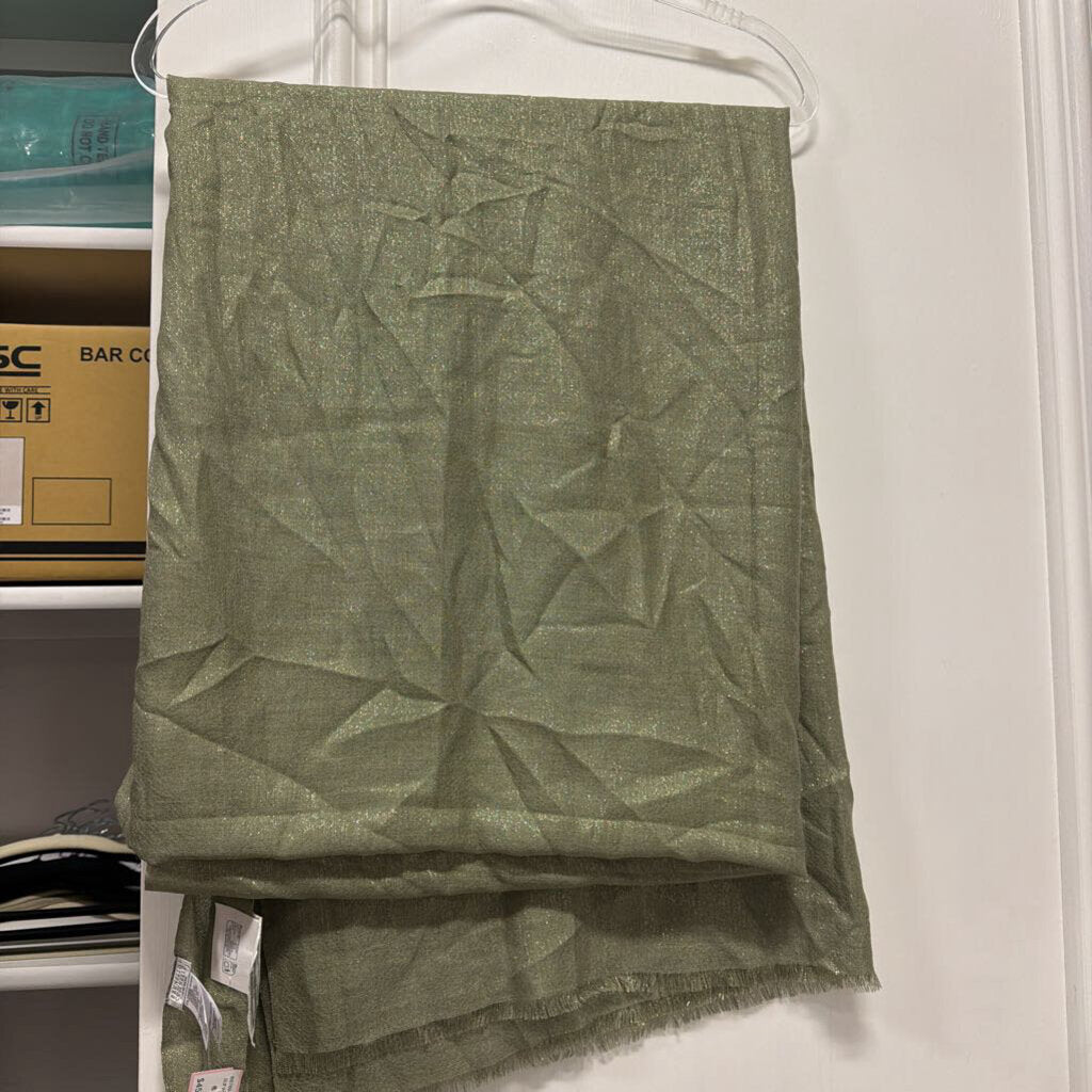 Green Cashmere Metallic Scarf (NWT 1550)