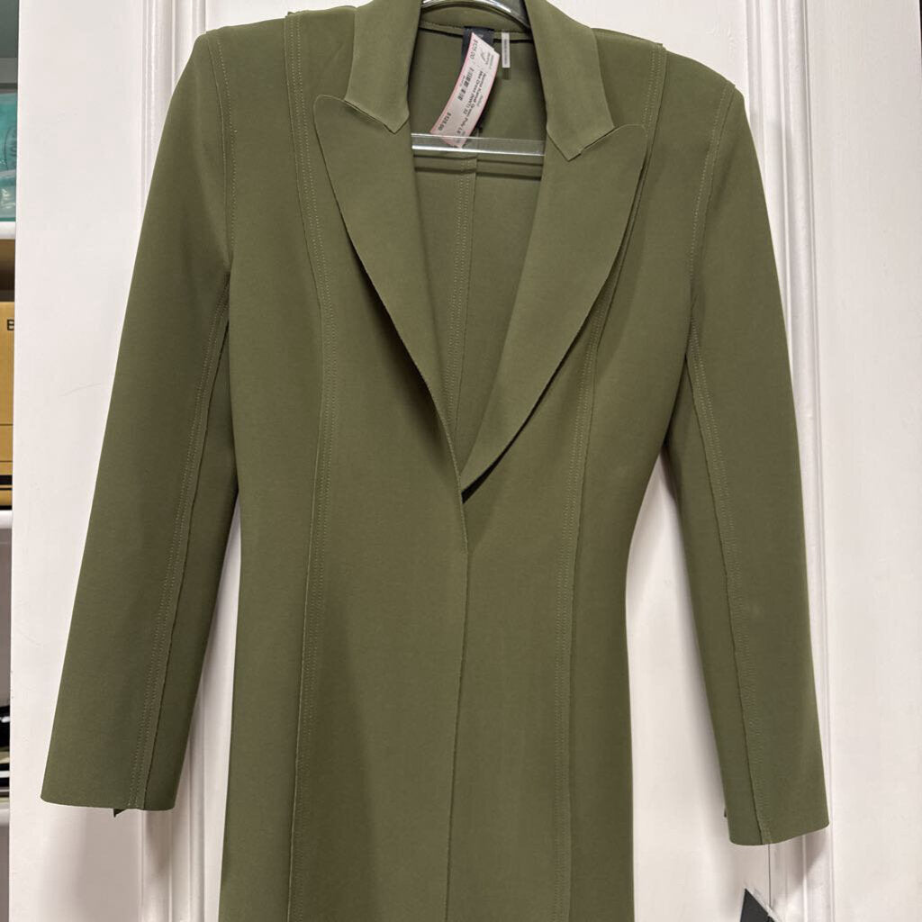 Green Poly LS Mini Dress (NWT)