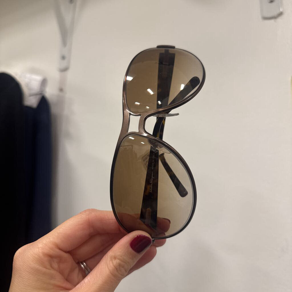 Brown Aviator Sunglasses w/ Case