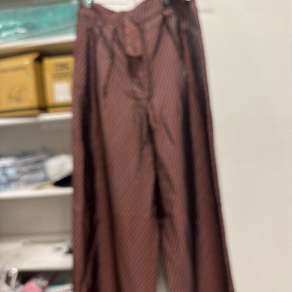 Burgundy Stripe Viscose Satin Pants