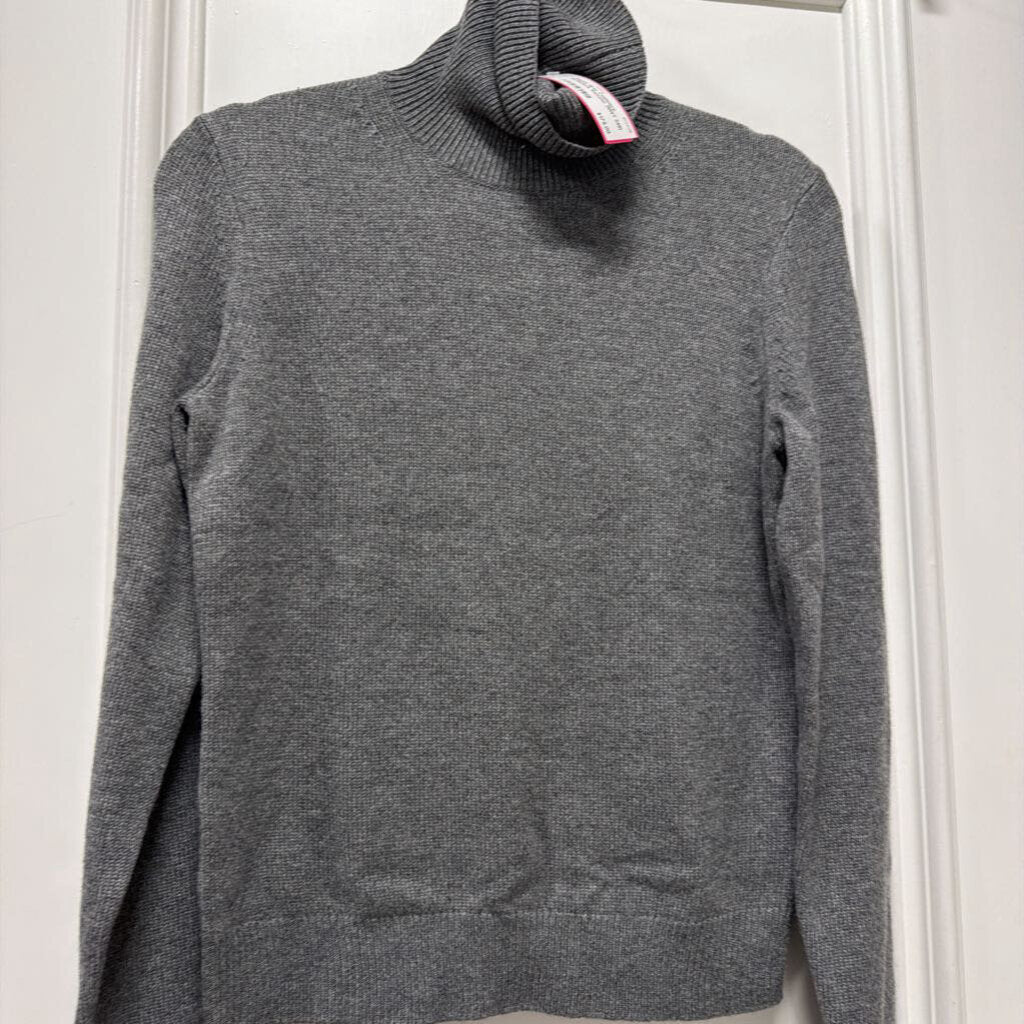 Grey Cashmere Turtleneck Sweater (NWT 345)