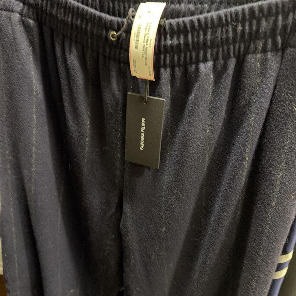 Navy Wool Stripe Pants (NWT)