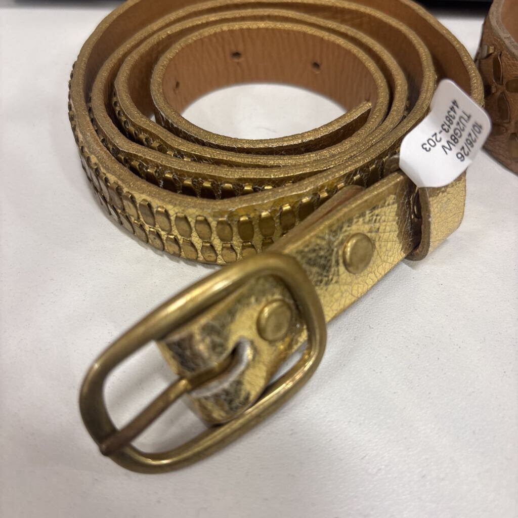 Calleen Cordero, Gold Studded Thin Belt, 36