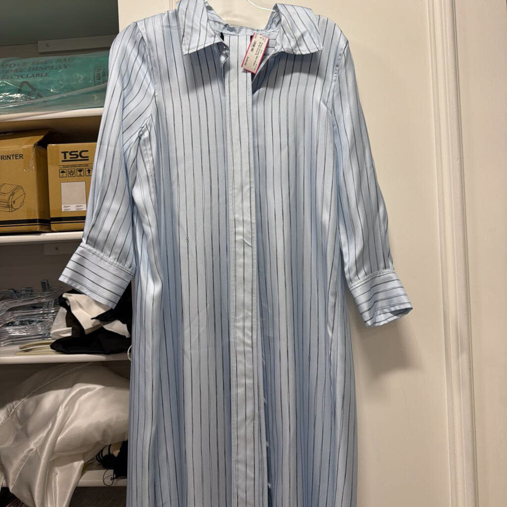Blue Stripe Silk Shirt Dress