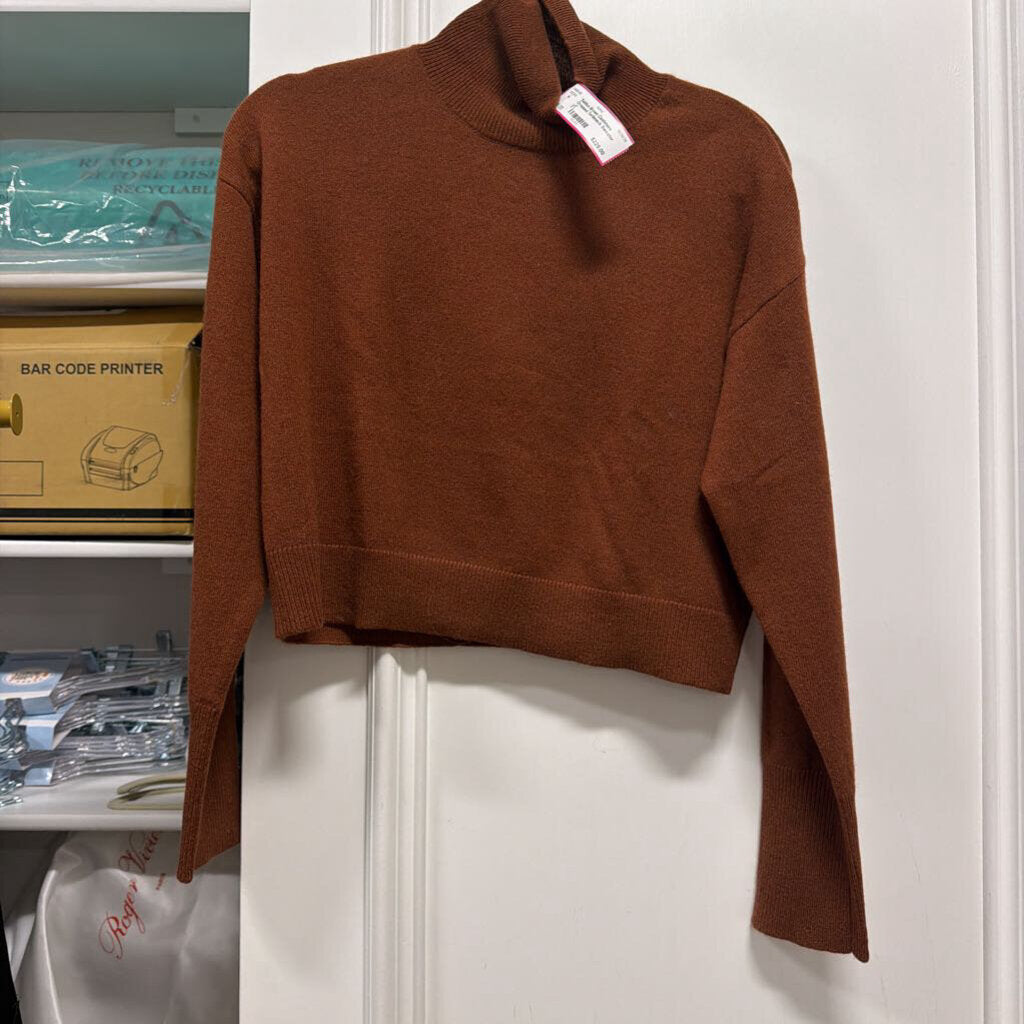 Brown Cashmere Cropped Turtleneck Sweater