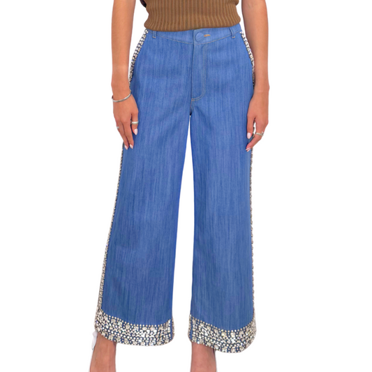 Huishan Zhang Crystal Embellished Jean, 6 (NWT)
