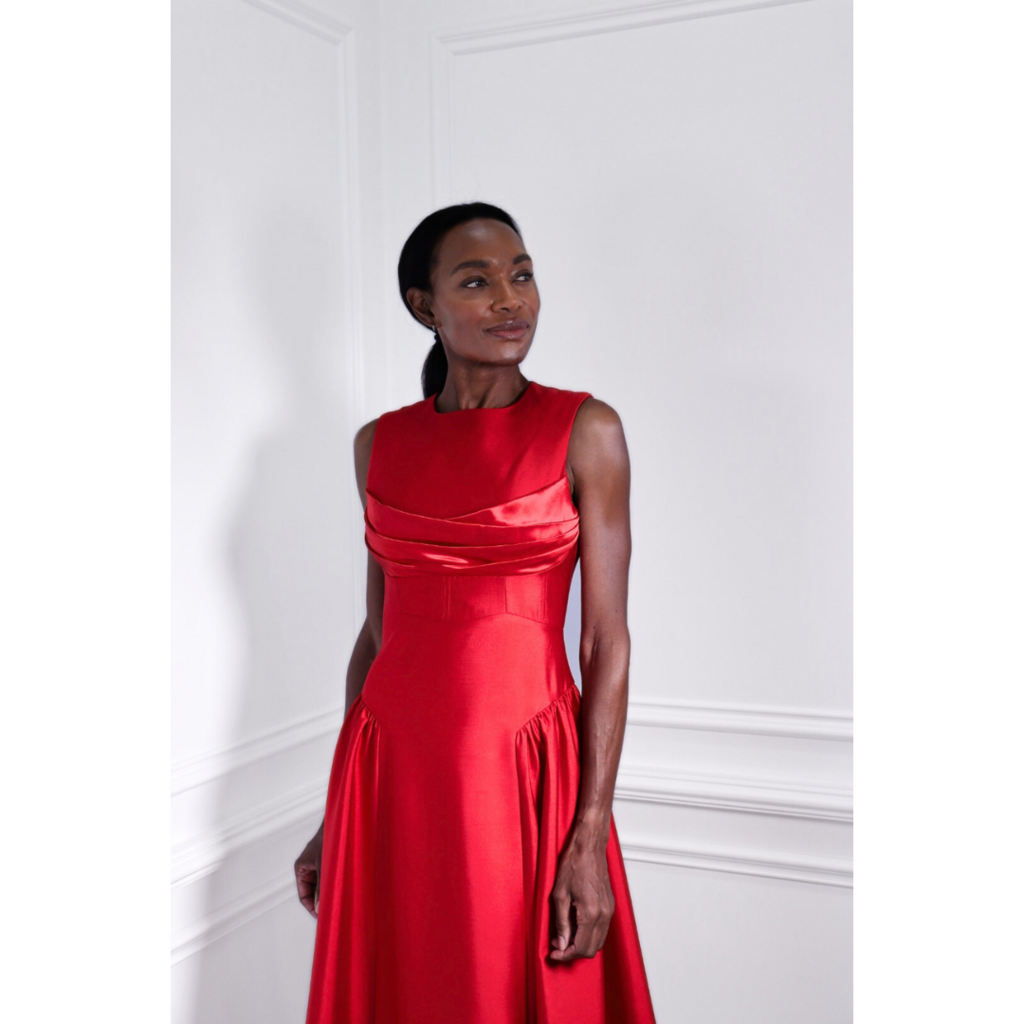 Rachel Gilbert Red Silk Blend Sawyer Dress, 4 (NWT)