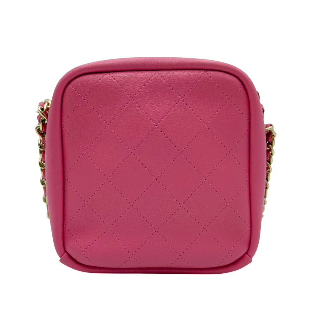 Chanel Pink Quilted Camera Bag