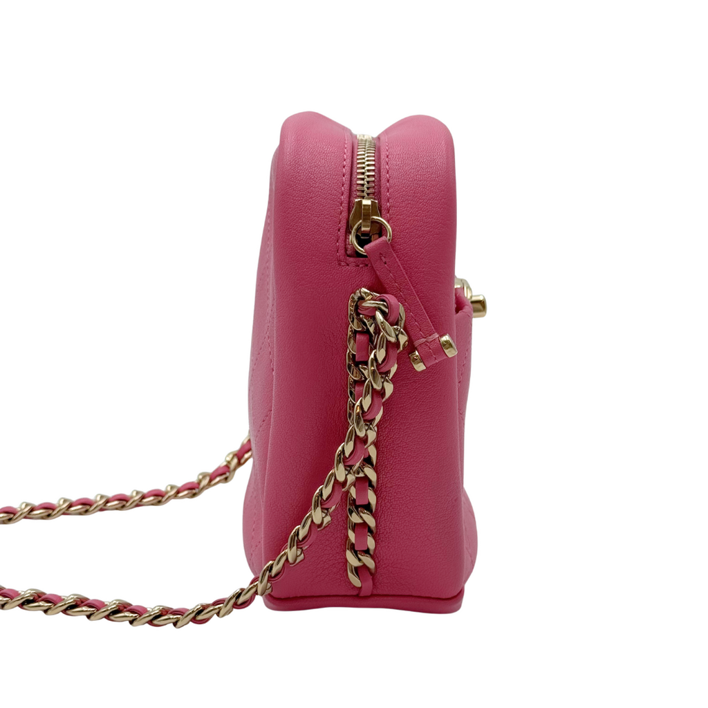 Chanel Pink Quilted Camera Bag
