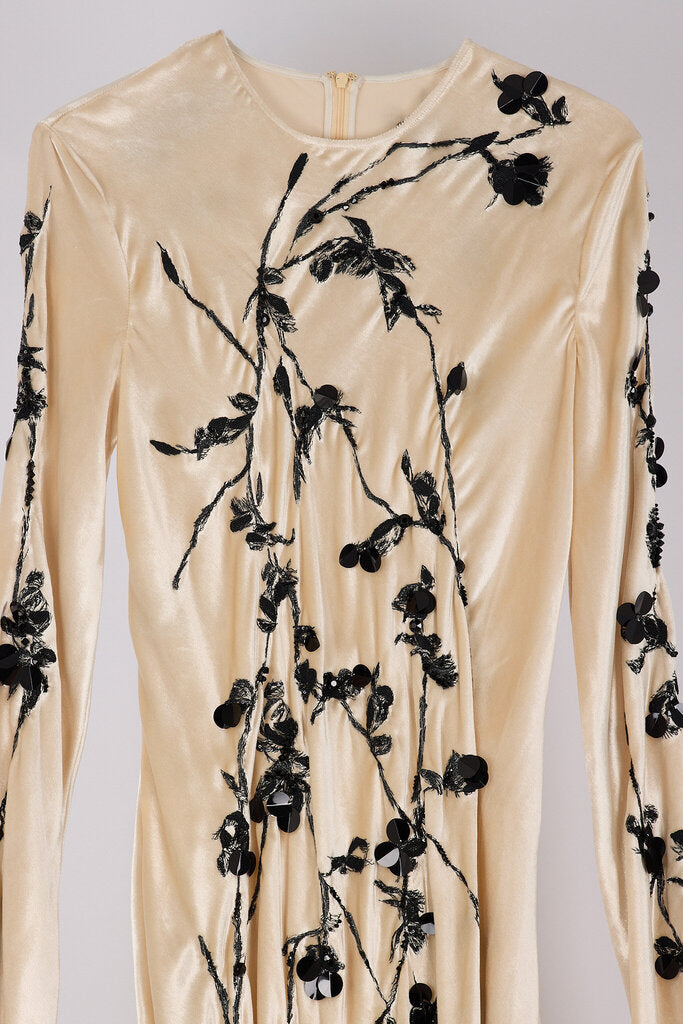 Alberta Ferretti Cream Viscose Embroidered Maxi Dress