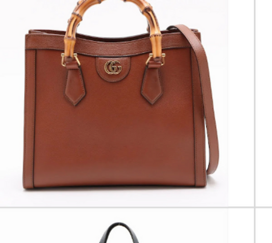 Brown Bamboo Diana Bag (lost)