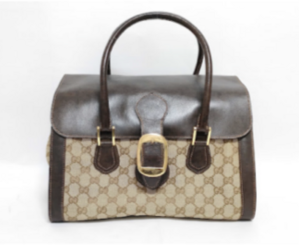 Brown Leather & Monogram Buckle Bag