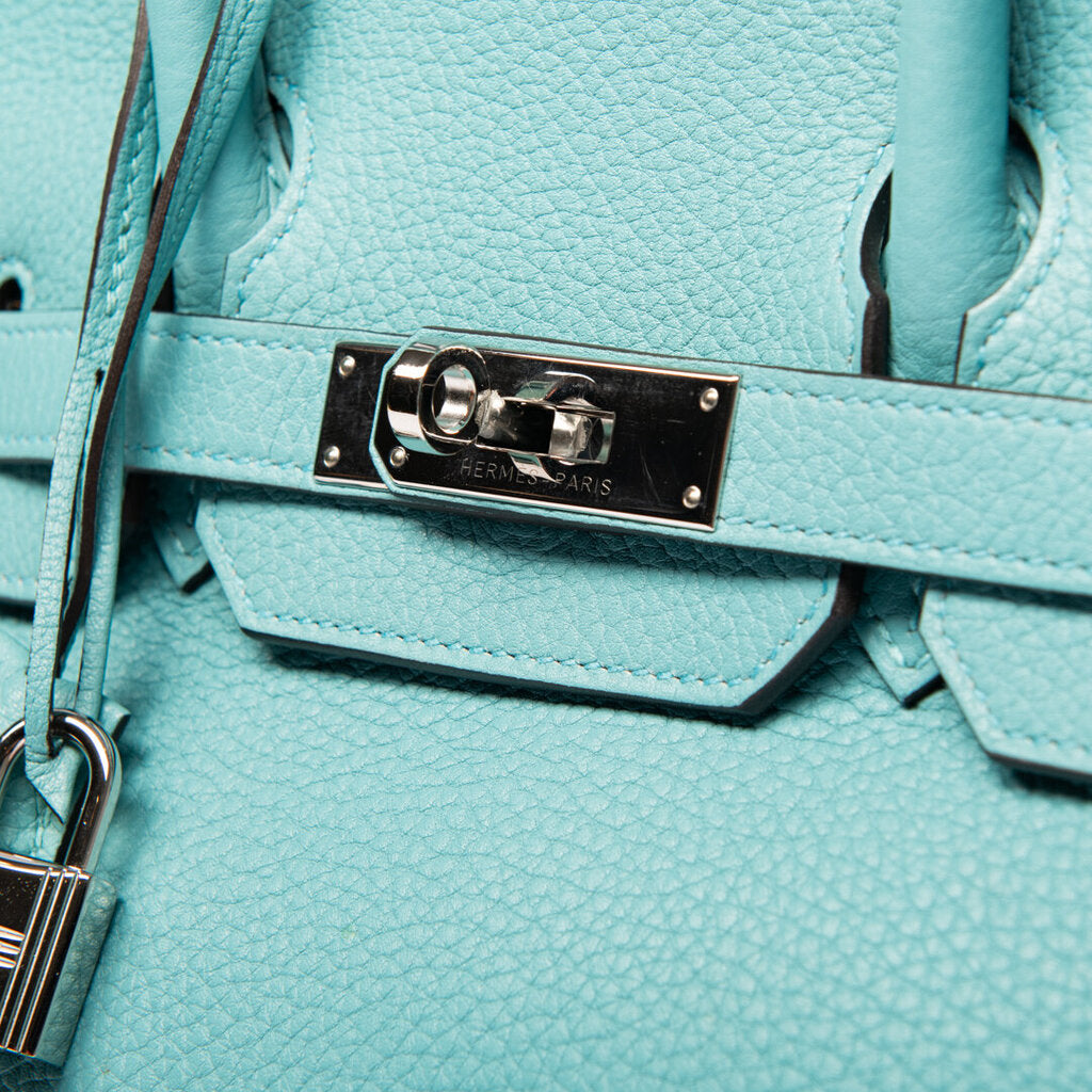 Hermes Saint Cyr Clemence Birkin 30 (2015)