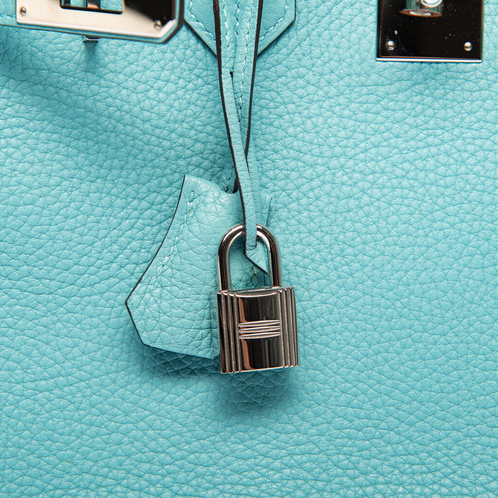Hermes Saint Cyr Clemence Birkin 30 (2015)