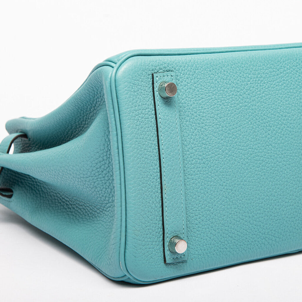 Hermes Saint Cyr Clemence Birkin 30 (2015)