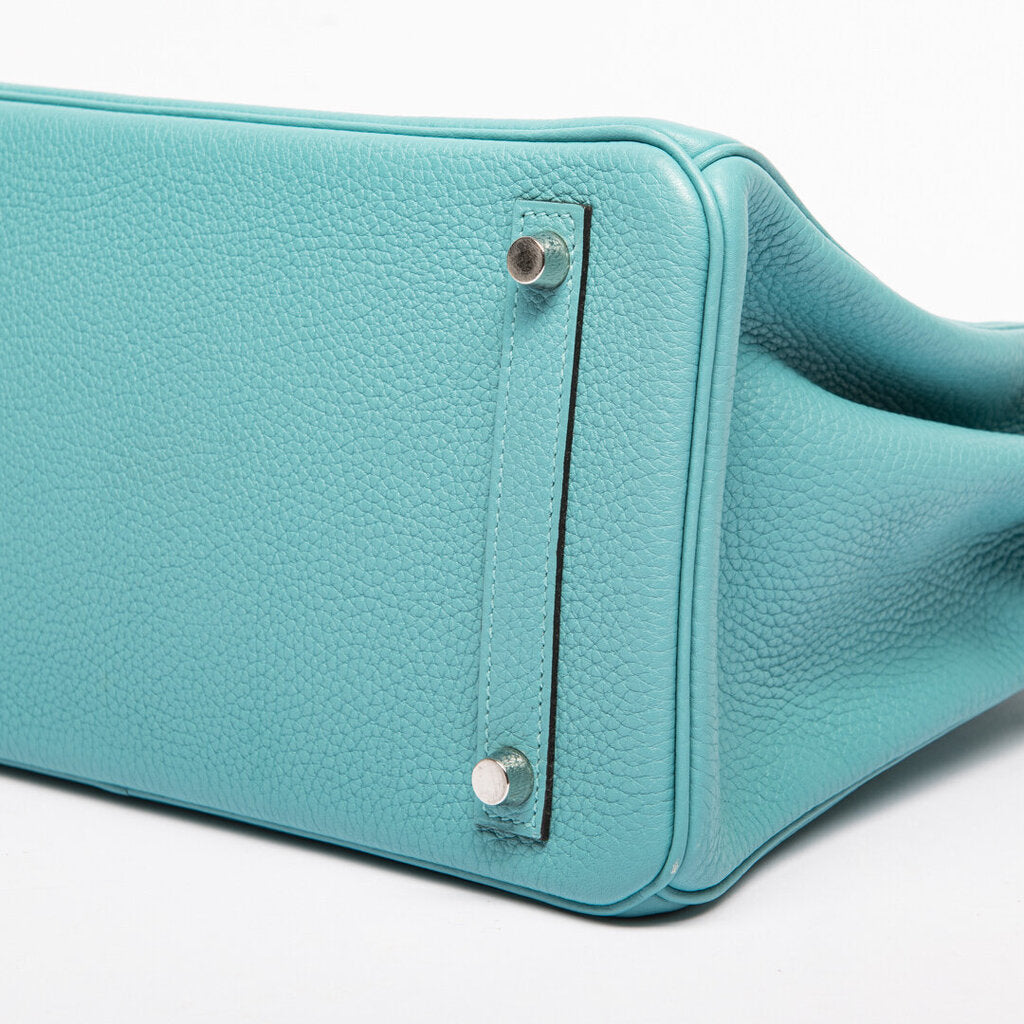 Hermes Saint Cyr Clemence Birkin 30 (2015)