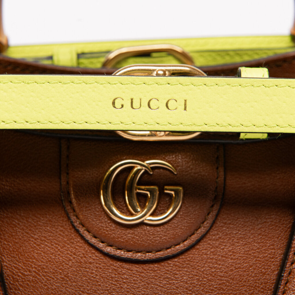 Gucci Brown Mini Diana with Bamboo Handles