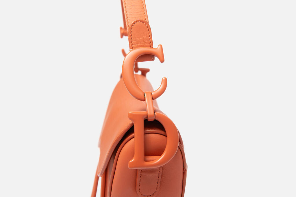 Christian Dior Monotone Terracotta Medium Saddle