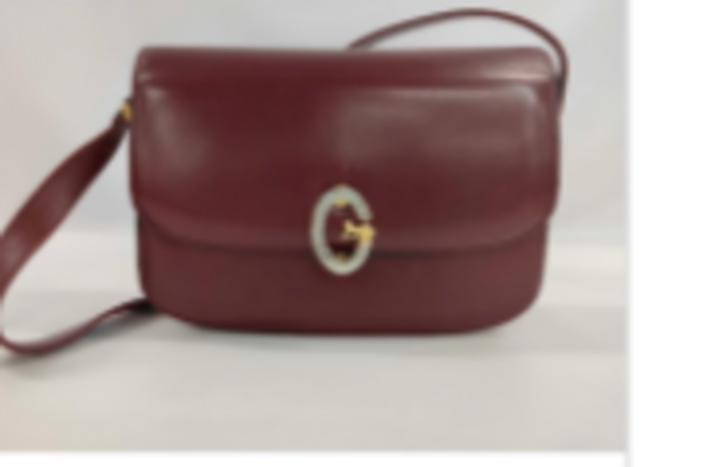 Burgundy Calf Leather Camera Bag