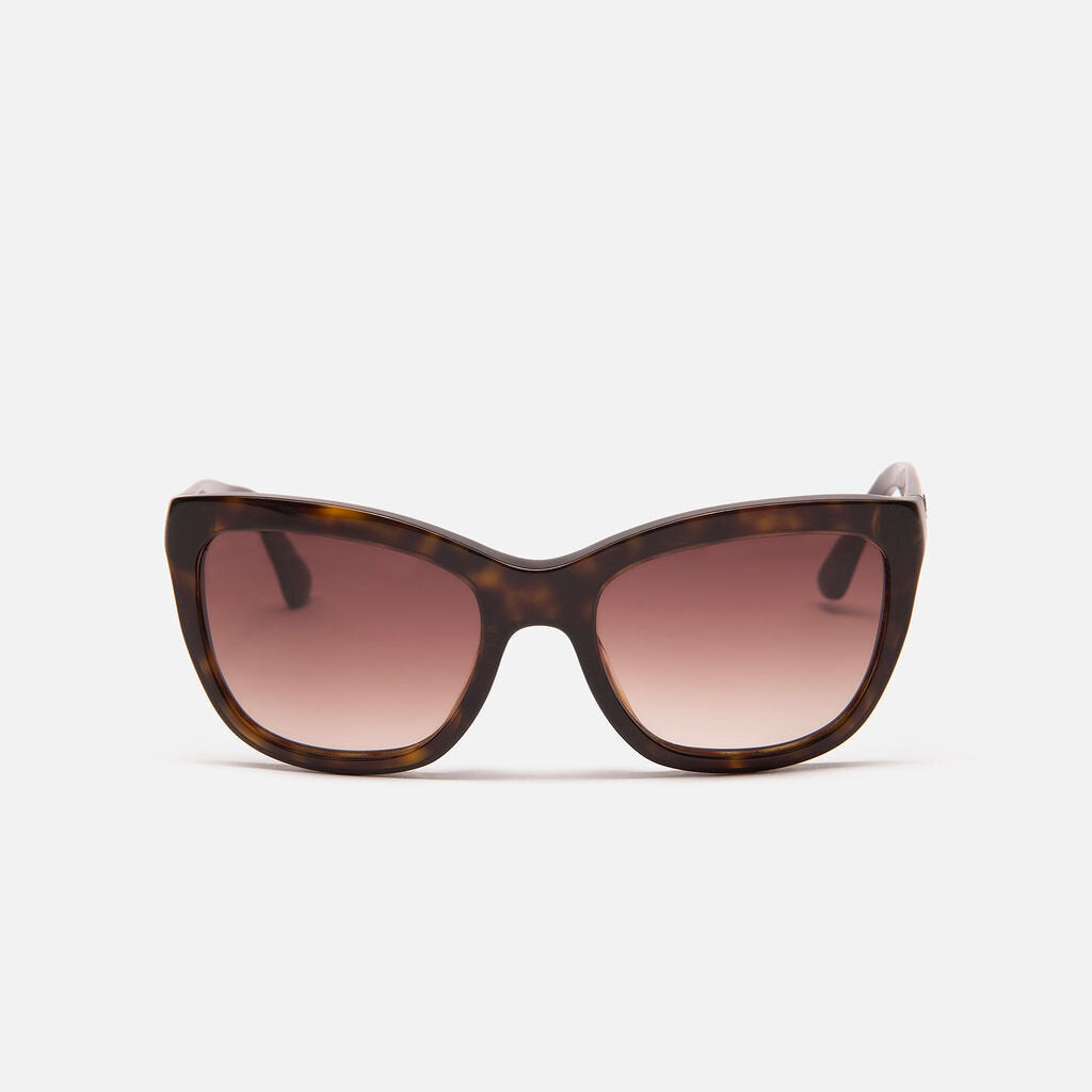 Dolce & Gabbana Brown Tortoise Cat Sunglasses