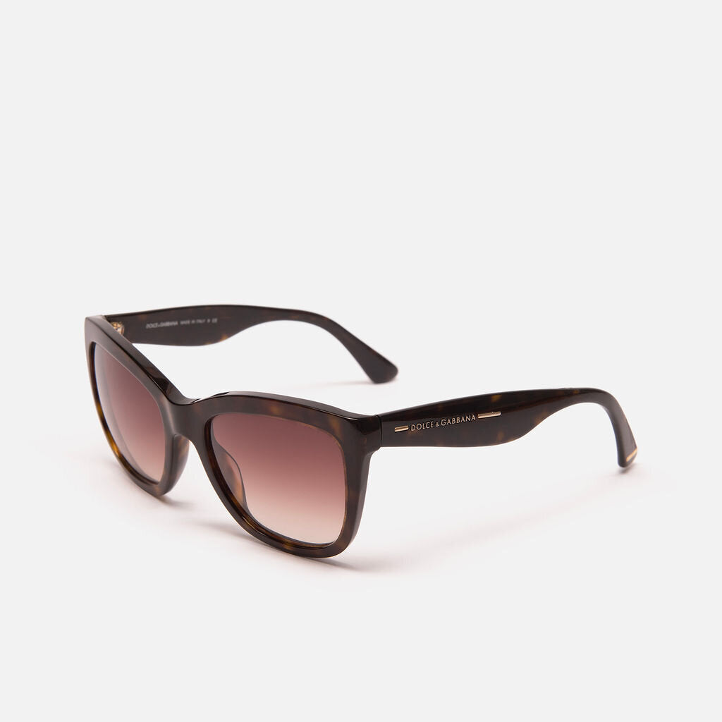 Dolce & Gabbana Brown Tortoise Cat Sunglasses