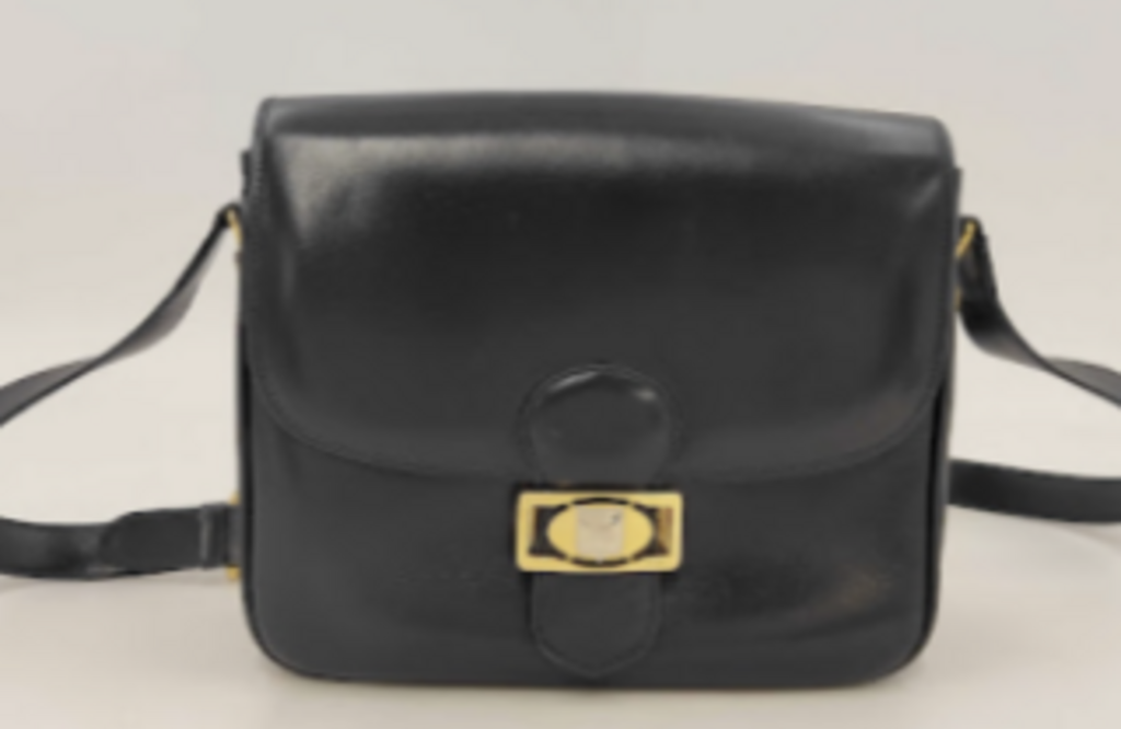 Black Carriage Hardware Camera Bag