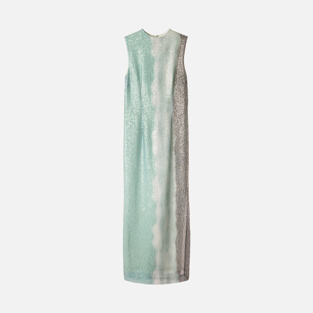 16 Arlington Green Poly Sequin Maxi Dress