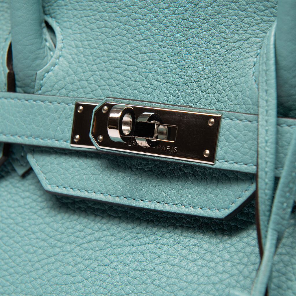 Hermes Clemence Saint Cyr Birkin 30 (2015)