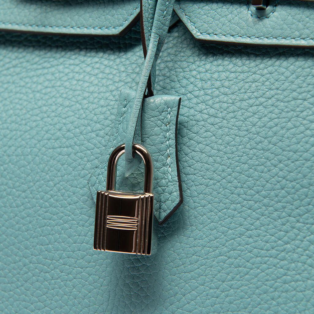 Hermes Clemence Saint Cyr Birkin 30 (2015)