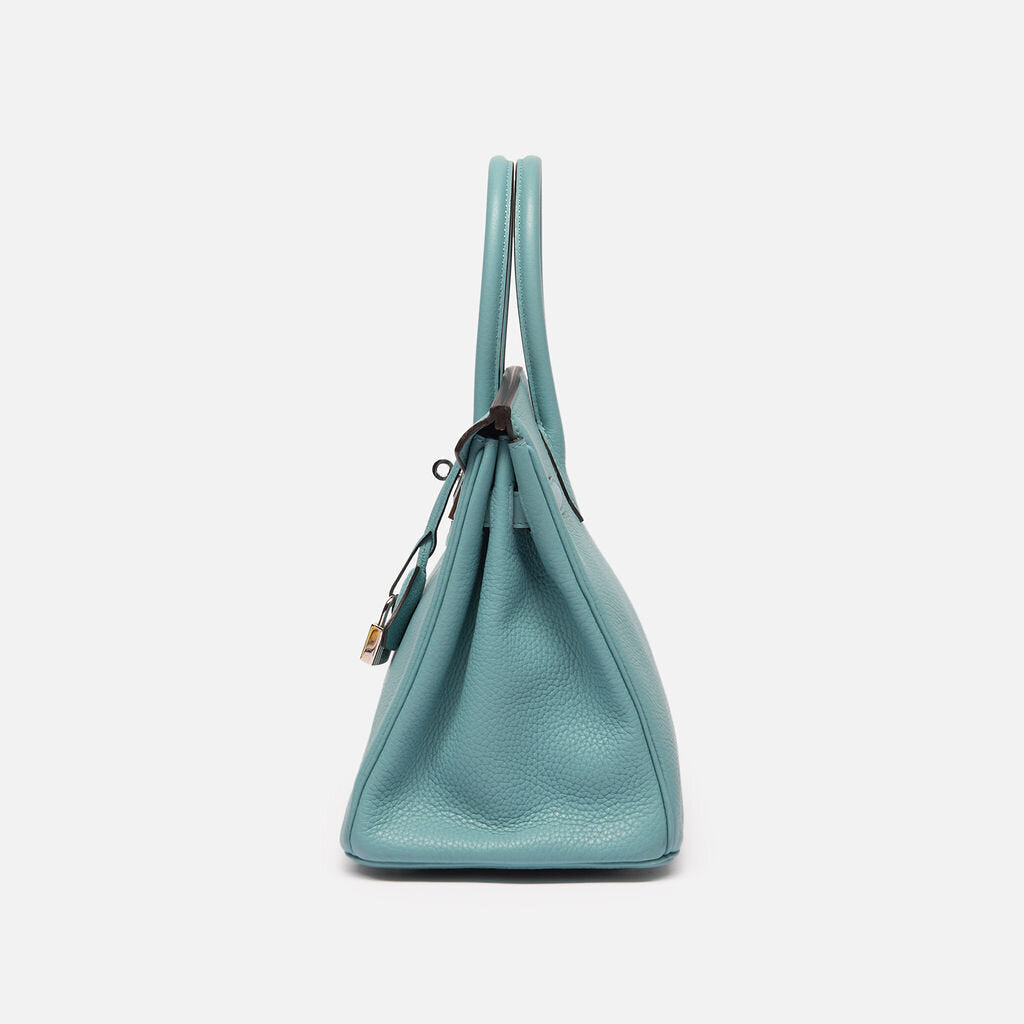 Hermes Clemence Saint Cyr Birkin 30 (2015)