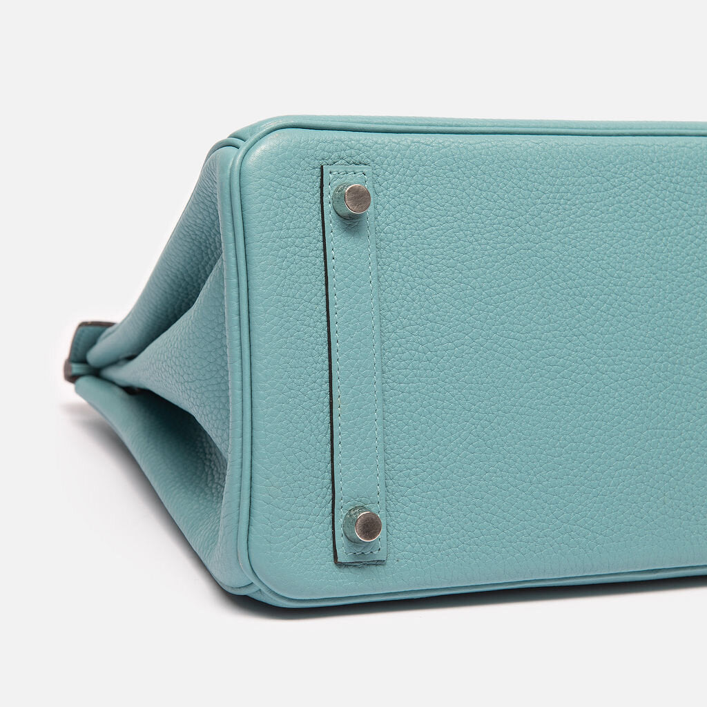 Hermes Clemence Saint Cyr Birkin 30 (2015)