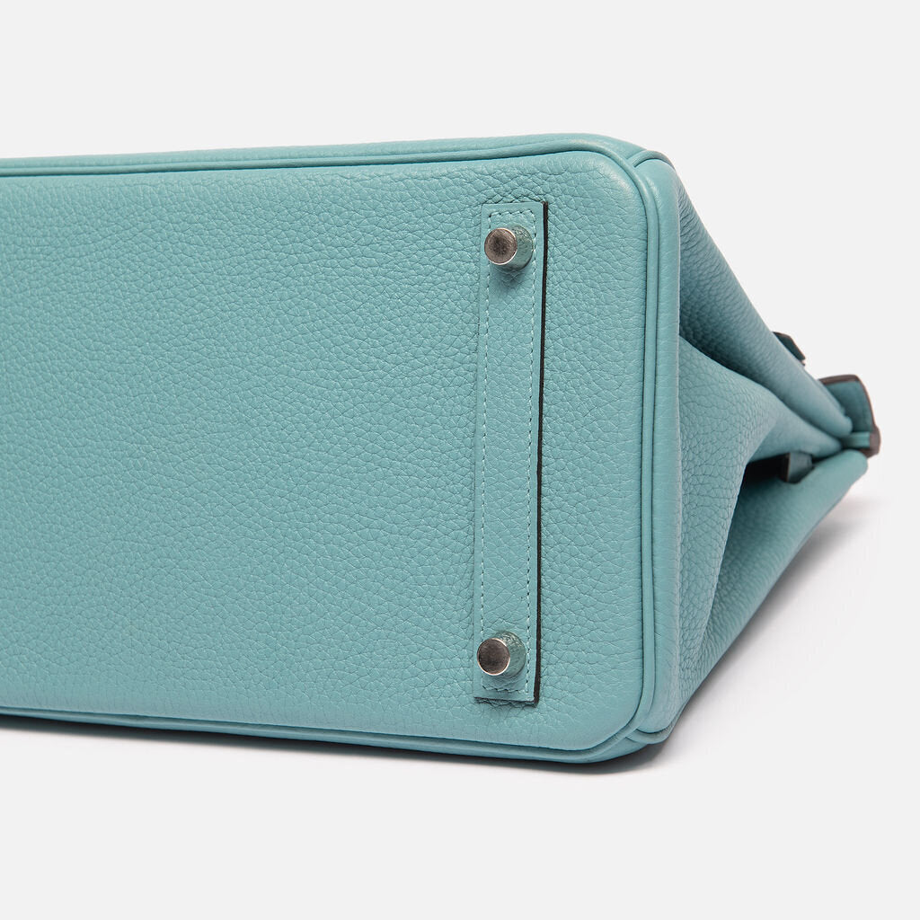Hermes Clemence Saint Cyr Birkin 30 (2015)