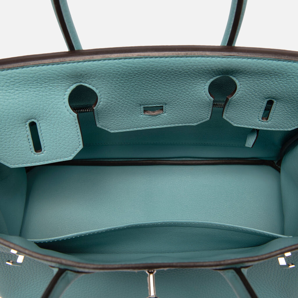 Hermes Clemence Saint Cyr Birkin 30 (2015)